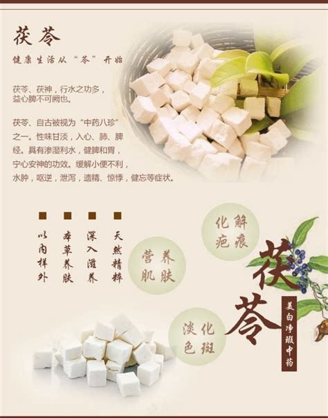 茯苓的驚人益處：從心臟健康到抗癌