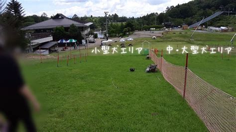 茶臼山高原ドッグラン：愛犬との最高の休日を過ごすためのガイド