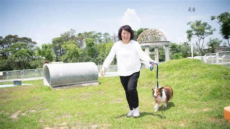 荃灣寵物：打造寵物友善城市