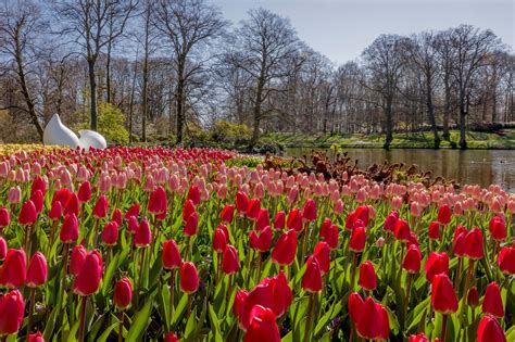 荷蘭 花園