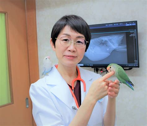 菜の花動物病院で最先端の治療を