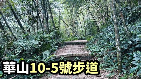 華山 5 號 步道