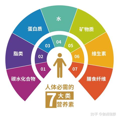 营养解码：解锁健康与活力的钥匙