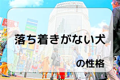 落ち着きがない犬とは？