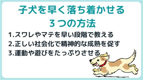 落ち着きがない犬を落ち着かせる方法：包括的なガイド