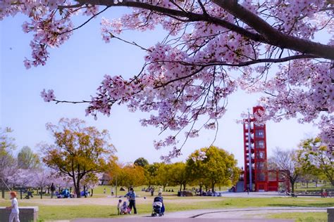 落合公園