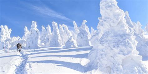 蔵王：「雪と温泉」の魅惑的な旅路