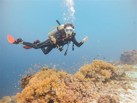 薄荷 島 潛水