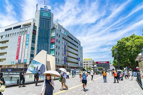 藤沢市の魅力を最大限に活用：ゴーメンズのためのガイド