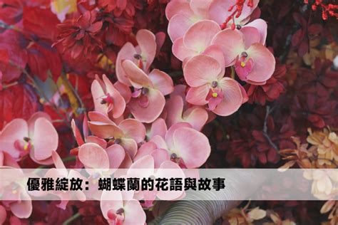 蘭花 貓：優雅與野性的完美結合