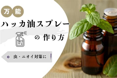 虫除けスプレーの効果を最大限に活用するガイド