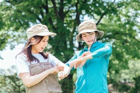 虫除け対策で快適な夏を！