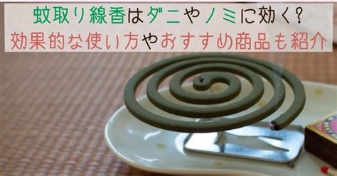 蚊取り線香がノミに効く理由