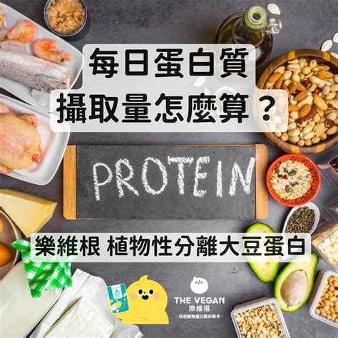 蛋白質攝取指南