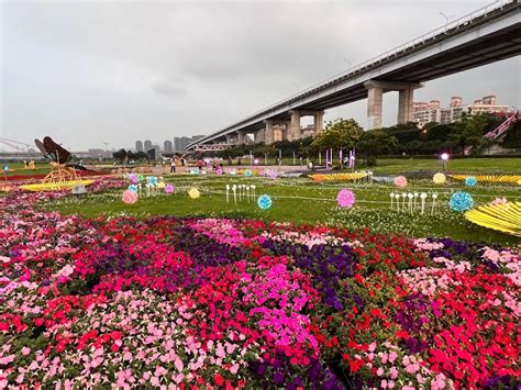 蝴蝶 公園 地 景 花 海