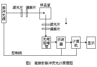 螢光蟲的發光機制