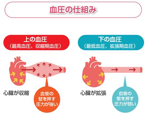 血圧の低下: