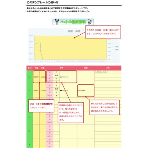 表参道ペットクリニックでペットの健康管理を万全に！