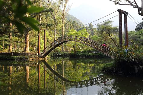 表 1：溪頭自然教育園區植物種類