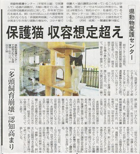 表1：神奈川県動物愛護センターの収容動物数