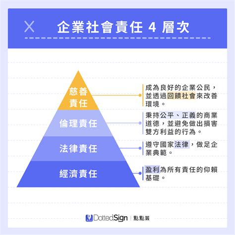 袋鼠有限公司的深層探討：創新、成長與投資價值