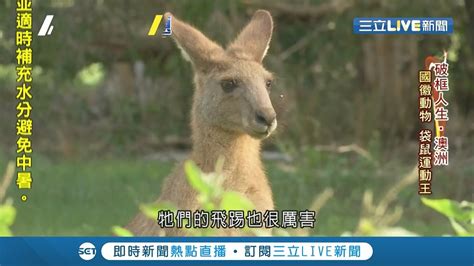 袋鼠有限公司：屹立不倒的澳洲地產巨頭