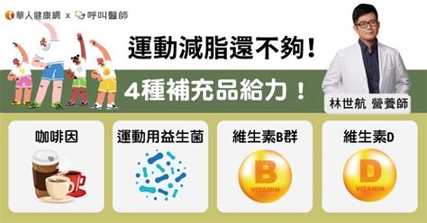 補充：強化健康、提升表現的關鍵