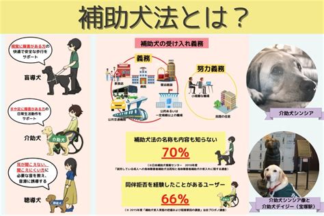 補助犬法が社会にもたらす真のメリット