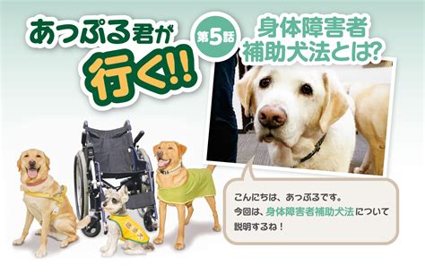 補助犬法とは