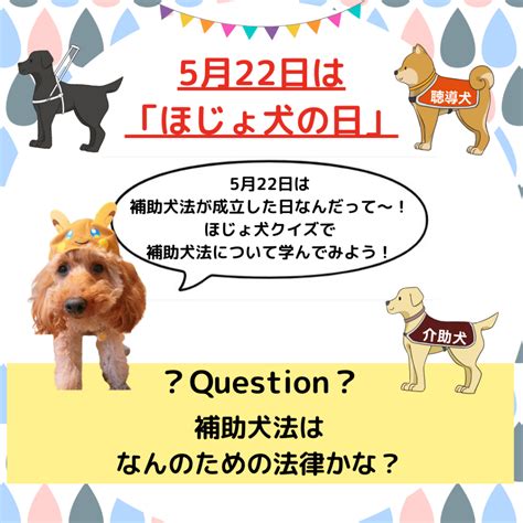 補助犬法の解説と活用