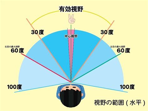 視野の拡大: