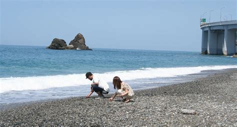 親不知観光：見どころ、アクティビティ、宿泊施設情報