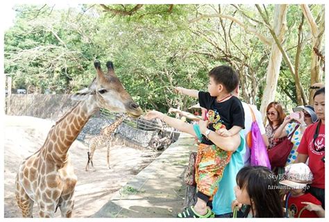 親子共遊泰國：打造永恆回憶的冒險之旅