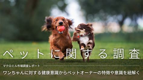 親愛なるペットオーナーの皆様へ：しんめい動物病院がペットの健康と幸せをサポートします