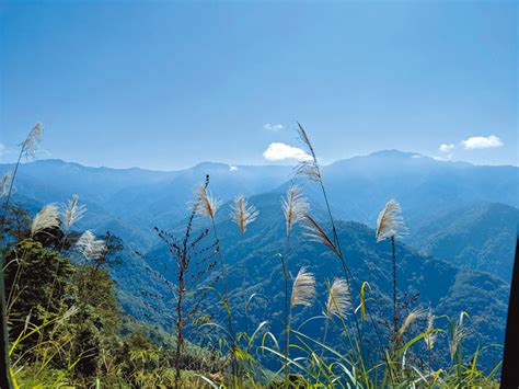 親近山林，遠離塵囂：高山營地