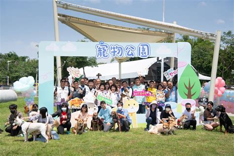 觀塘寵物：城市中的動物樂園