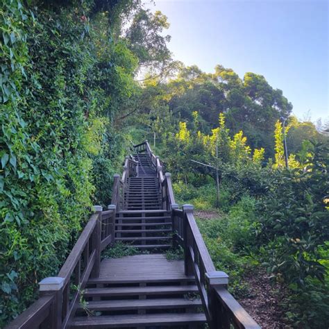 觀音山步道攻略：踏上台北後花園，飽覽無敵美景