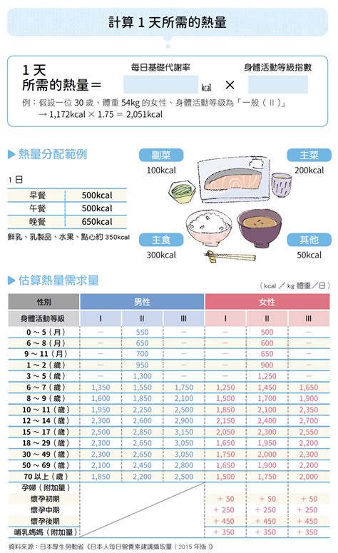 計算每日所需熱量：