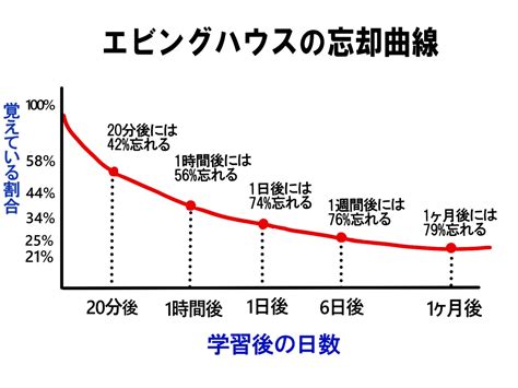 記憶の定着：