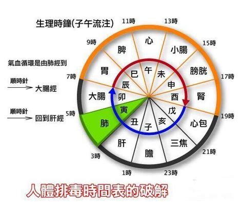 設定數位排毒時間：