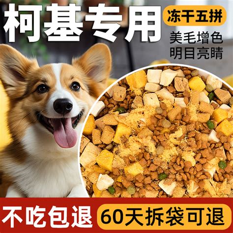 認識乾糧狗食的中文翻譯