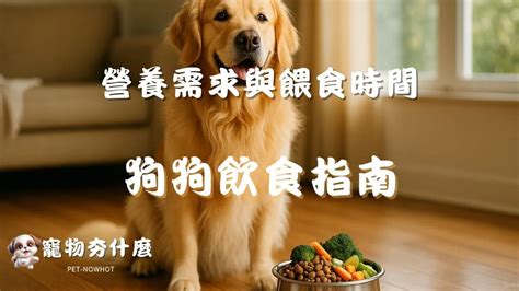 認識苔原犬的營養需求