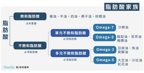 認識 Omega-7