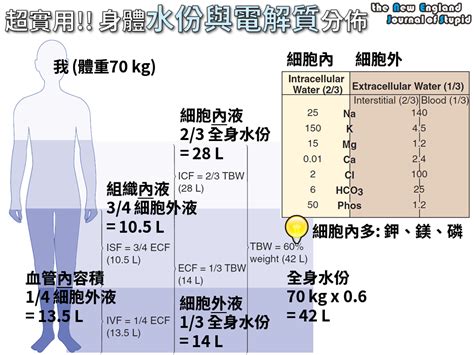 調節電解質平衡：