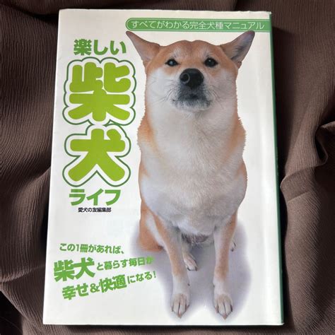 豆しばーのすべてがわかる！飼い方から魅力まで徹底解説