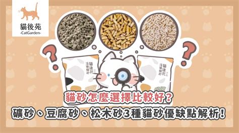 豆腐貓砂：貓咪、環境、荷包的三贏選擇