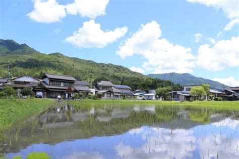 豊かな自然に囲まれている: