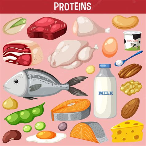 豐富的 protein