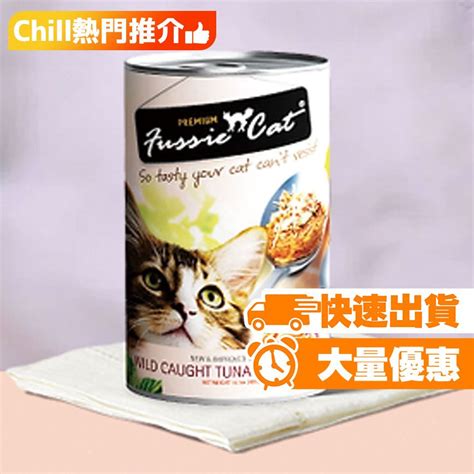 貓咪挑食，怎麼讓牠食慾大開？一張表帶你認識fussie cat 貓糧