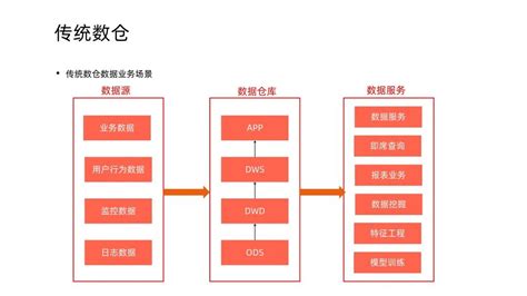 貓咪的演化之路